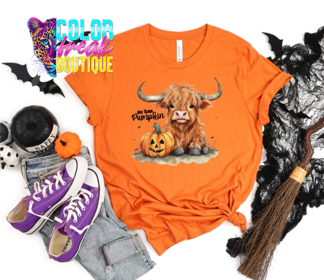 Hey There Pumpkin Highland Cow Tee